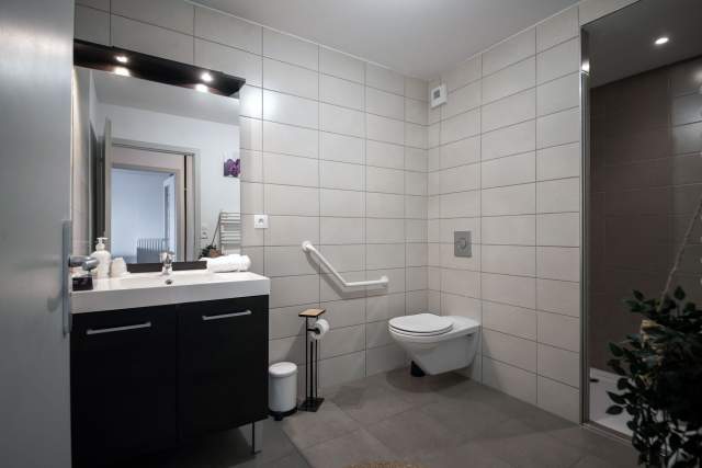Hôtel Restaurant Haut-Rhin · Photos · Holiday Inn Mulhouse 
